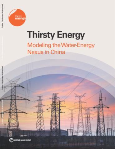 Thirsty energy: modeling the water-energy nexus in China